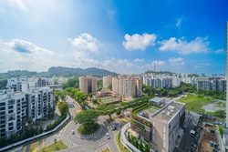The Hillier (D23), Apartment #548563861